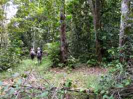 bifurcation, ravine gras, petit bourg