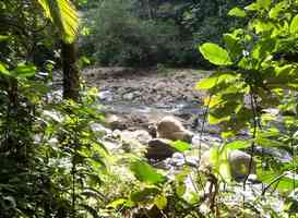 rivière bras david, route mamelles, guadeloupe