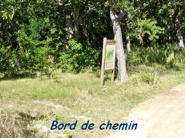 Bord du chemin de tuff, Maisoncelle