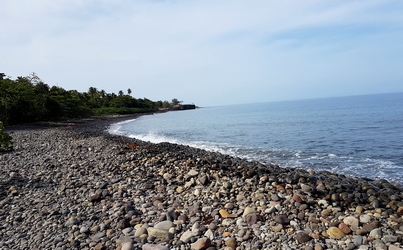 mamalier littoral cailloux cote sous le vent guadeloupe