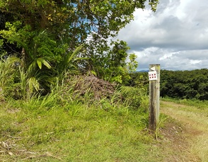 boucle à droite pte bacchus pt bourg guadeloupe