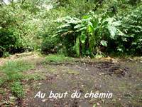 bout chemein, madeleine, basse terre sud, guadeloupe