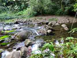 rivière bras david, route mamelles, guadeloupe