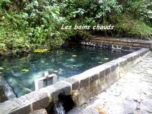 balade armistice, basse terre, foret humide , bain chaud, guadeloupe