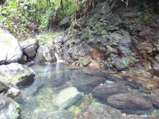 balade grosse corde bassin chaud foret humide guadeloupe