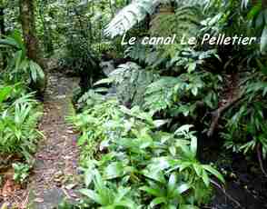 canal le pelletier, nez cassé, st claude, guadeloupe