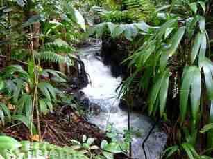 canal le pelletier, nez cassé, st claude, basse terre, guadeloupe