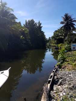 canal decostière vx bourg Guadeloupe
