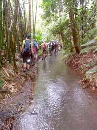 canal lepelletier, nez cassé, St Claude basse terre, guadeloupe