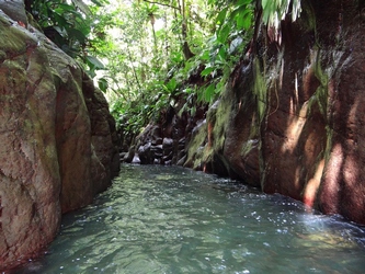 canyon moustique Guadeloupe