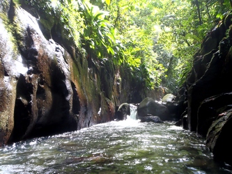 canyon moustique p bourg guadeloupe