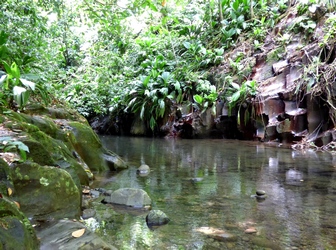 canyon moustique p bourg guadeloupe