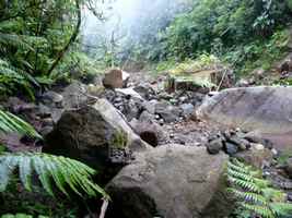 chutes carbet, éboulis, basse terre sud, guadeloupe