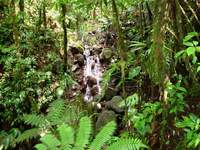 cascade, mazdeleine, basse terre sud, guadeloupe