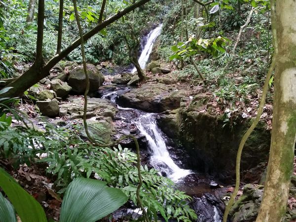 cascade 2et3 Ferry, deshaies, basse terre, guadeloupe