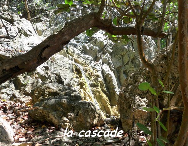 cascade, La Rivière, Désirade L