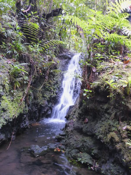 cascade, trace des étangs