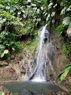 cascade debauchée Riviere bras david guadeloupe