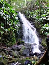 cascade ravine Gras, petit bourg