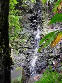 cascade, madeleine, basse terre, guadeloupe