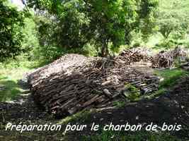 Charbon de bois, Petit Havre