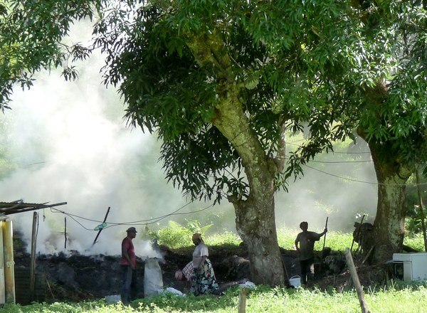 Charbon de bois, Trace du Prince