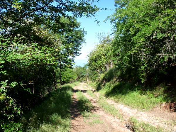 chemin pte lézard L