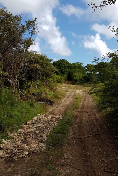 chemin mahaudière, anse bertrand, grande terre, guadeloupe