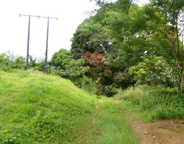 chemin, cascade Bis, sainte rose, gaudeloupe