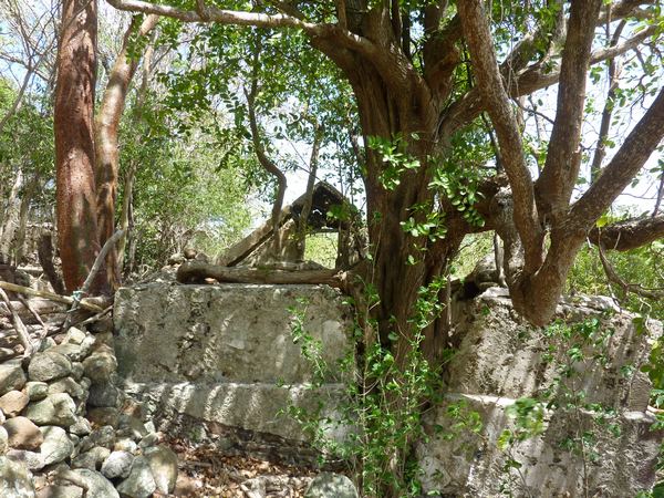 citerne houelche, terre de bas, Guadeloupe