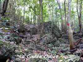 Coulée Ouliée, Grand Bourg , Marie Galante