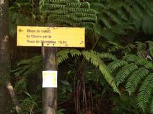 balade armistice, basse terre, balisage, foret humide, guadeloupe