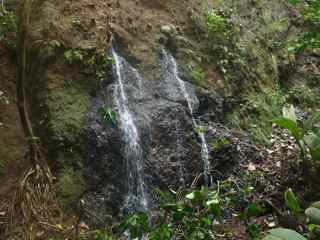 balade, cascade de le fontaine, littoral, capesterre belle eau, guadeloupe