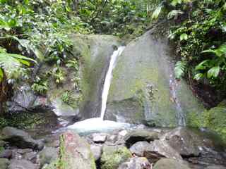 balade grosse corde cascade droite foret humide guadeloupe