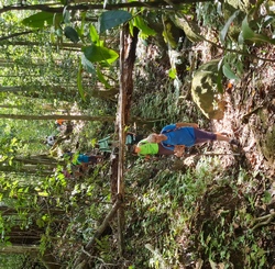 ravine limite parc morne bois dinde deshaies