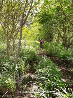 début coulée ouliée Marie galante