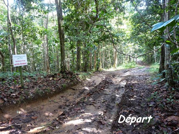 départ du sentier, Galbas, tete allègre, Basse terre nord, Guadeloupe