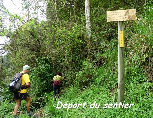 Départ de Gros Figuier, Piton de Bouillante L