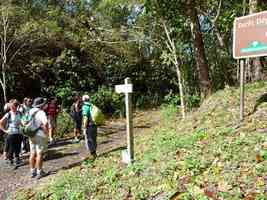 départ sentier houelmont, morne cadet, gourbeyre