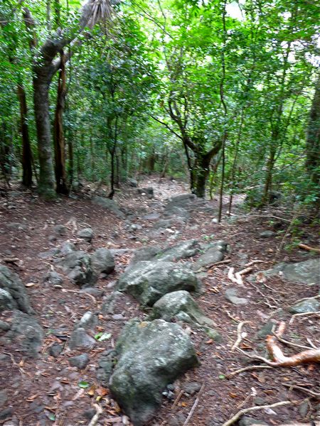 Descente vers Deshaies