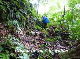 Descente abrupte vers la Rivière Galion