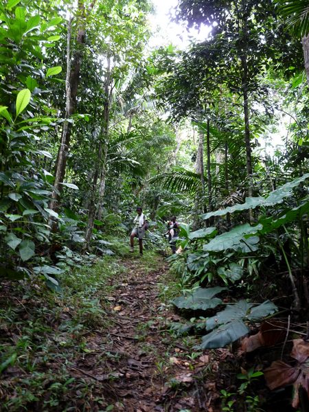 Descente Belle isle, Contrebandiers, Guadeloupe