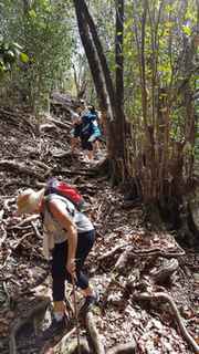 descente ravine 3 vaches Guadeloupe