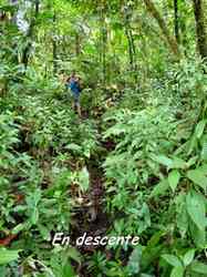 descente, madeleine, basse terre sud, guadeloupe