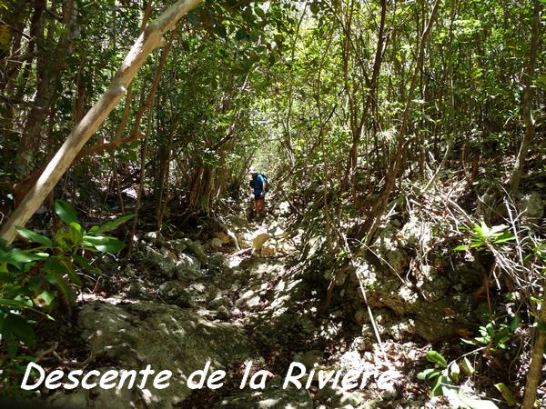 Descente de La Rivière, Désirade L