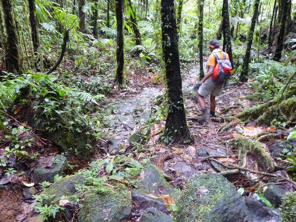 descente Trace des étangs