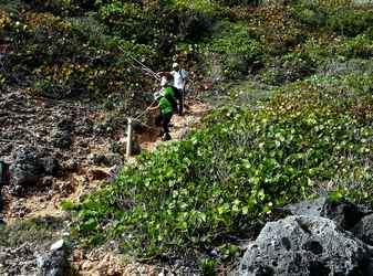 descente anse à la barque Falaises Guadeloupe