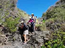 descente vers le littoral, ste anne, grande terre, guadeloupe