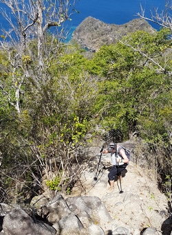 descente Chameau terre de haut Guadeloupe