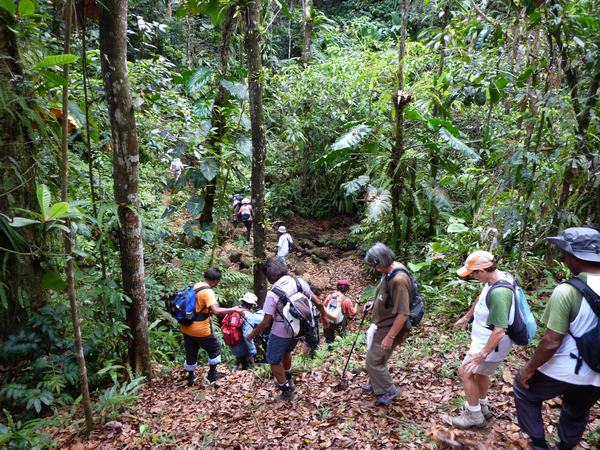 Descente, galbas